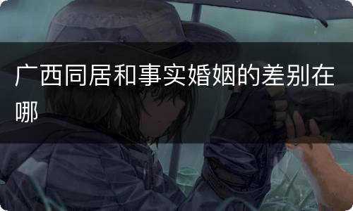 广西同居和事实婚姻的差别在哪