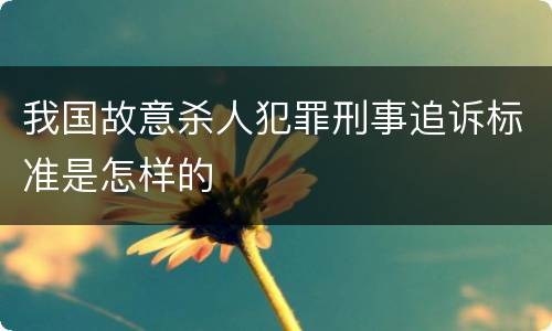 我国故意杀人犯罪刑事追诉标准是怎样的