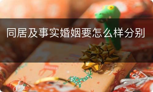 同居及事实婚姻要怎么样分别