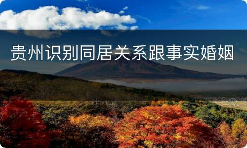贵州识别同居关系跟事实婚姻