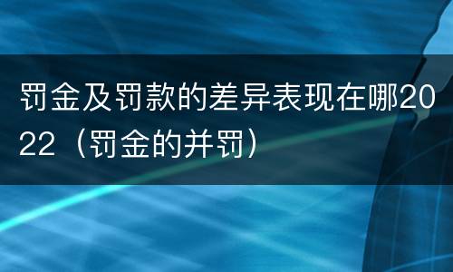 罚金及罚款的差异表现在哪2022（罚金的并罚）