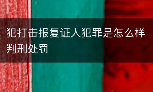 犯打击报复证人犯罪是怎么样判刑处罚