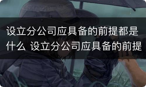 设立分公司应具备的前提都是什么 设立分公司应具备的前提都是什么要素