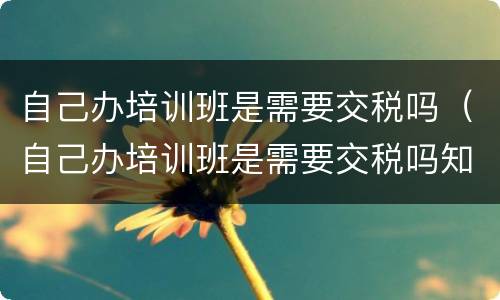 自己办培训班是需要交税吗（自己办培训班是需要交税吗知乎）