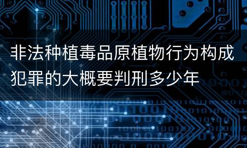 非法种植毒品原植物行为构成犯罪的大概要判刑多少年