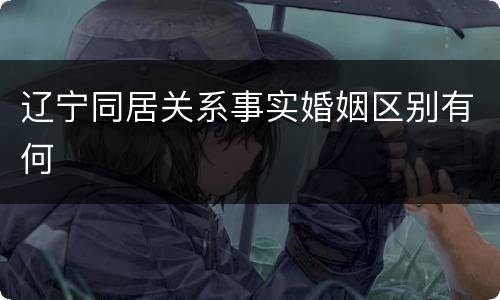 辽宁同居关系事实婚姻区别有何