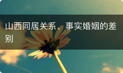 山西同居关系、事实婚姻的差别