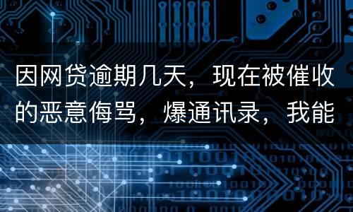因网贷逾期几天，现在被催收的恶意侮骂，爆通讯录，我能起诉不