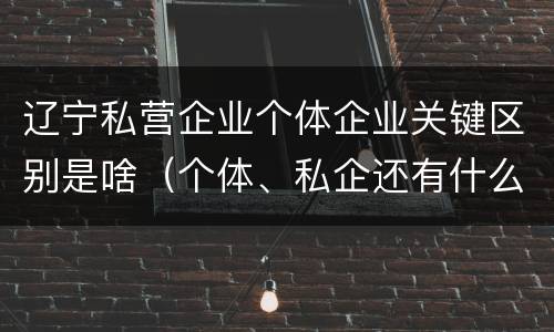 辽宁私营企业个体企业关键区别是啥（个体、私企还有什么性质）