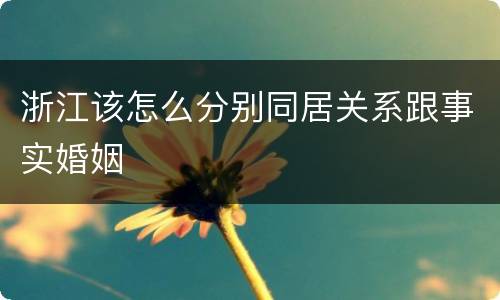 浙江该怎么分别同居关系跟事实婚姻