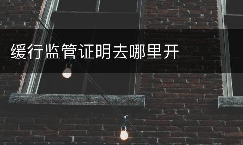 缓行监管证明去哪里开