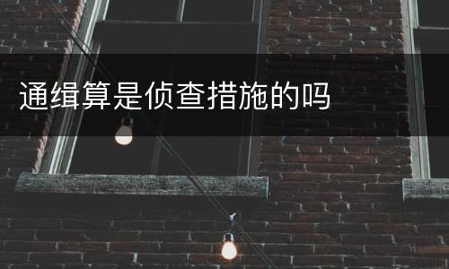 通缉算是侦查措施的吗