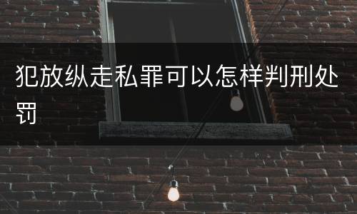 犯放纵走私罪可以怎样判刑处罚