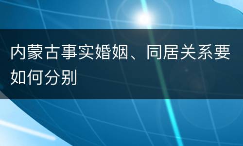 内蒙古事实婚姻、同居关系要如何分别