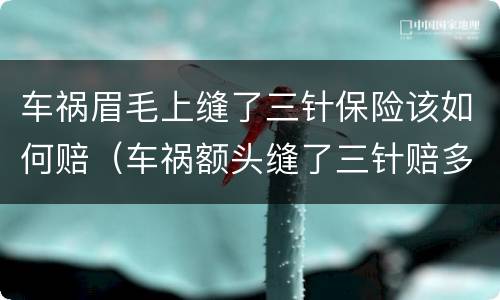车祸眉毛上缝了三针保险该如何赔（车祸额头缝了三针赔多少）