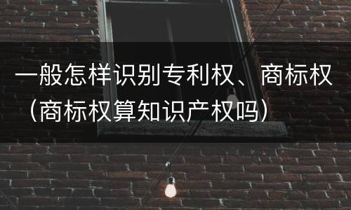 一般怎样识别专利权、商标权（商标权算知识产权吗）