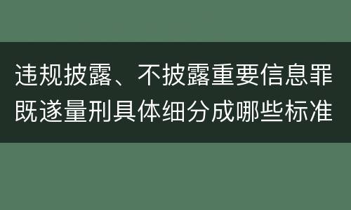 违规披露、不披露重要信息罪既遂量刑具体细分成哪些标准