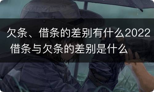 欠条、借条的差别有什么2022 借条与欠条的差别是什么