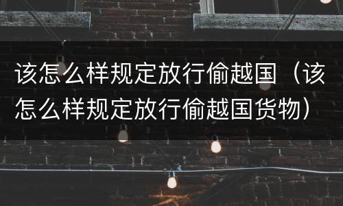 该怎么样规定放行偷越国（该怎么样规定放行偷越国货物）
