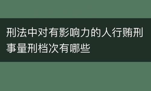 刑法中对有影响力的人行贿刑事量刑档次有哪些