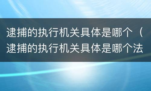 逮捕的执行机关具体是哪个（逮捕的执行机关具体是哪个法院）