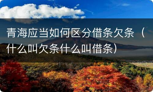 青海应当如何区分借条欠条（什么叫欠条什么叫借条）