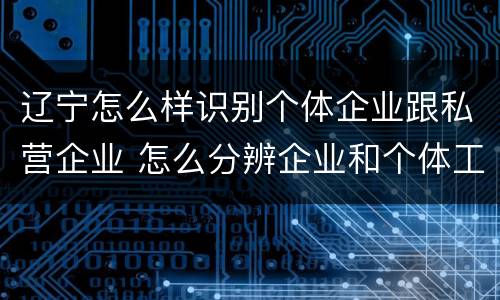 辽宁怎么样识别个体企业跟私营企业 怎么分辨企业和个体工商户