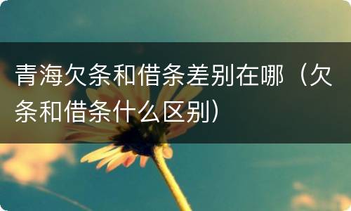 青海欠条和借条差别在哪（欠条和借条什么区别）