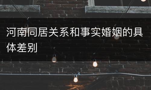 河南同居关系和事实婚姻的具体差别