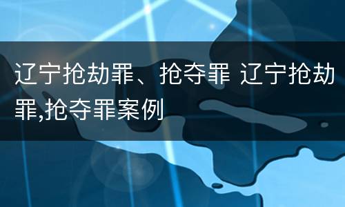 辽宁抢劫罪、抢夺罪 辽宁抢劫罪,抢夺罪案例