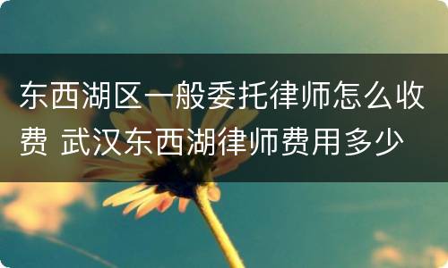 东西湖区一般委托律师怎么收费 武汉东西湖律师费用多少