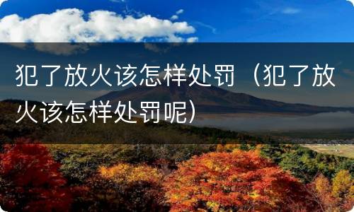 犯了放火该怎样处罚（犯了放火该怎样处罚呢）