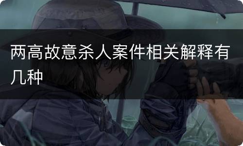 两高故意杀人案件相关解释有几种