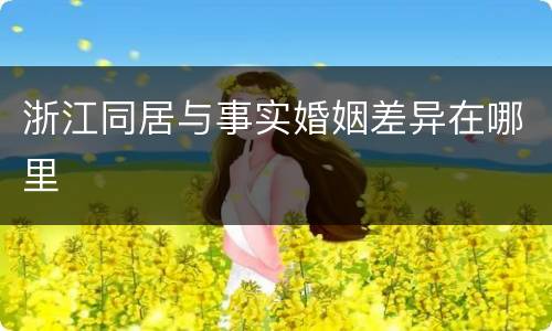 浙江同居与事实婚姻差异在哪里