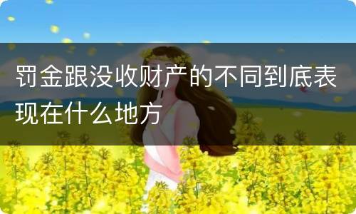 罚金跟没收财产的不同到底表现在什么地方