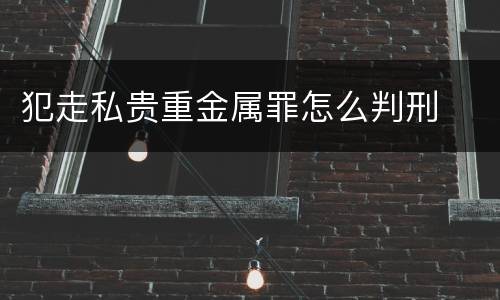 犯走私贵重金属罪怎么判刑