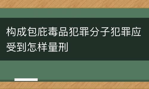 构成包庇毒品犯罪分子犯罪应受到怎样量刑