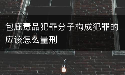 包庇毒品犯罪分子构成犯罪的应该怎么量刑
