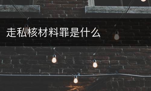 走私核材料罪是什么