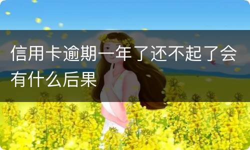 信用卡逾期一年了还不起了会有什么后果