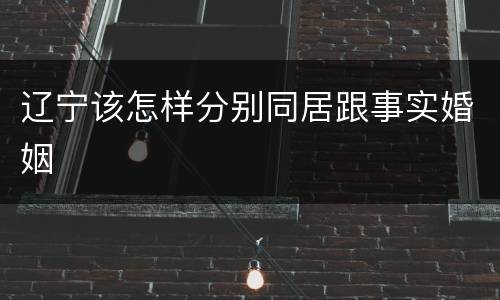 辽宁该怎样分别同居跟事实婚姻