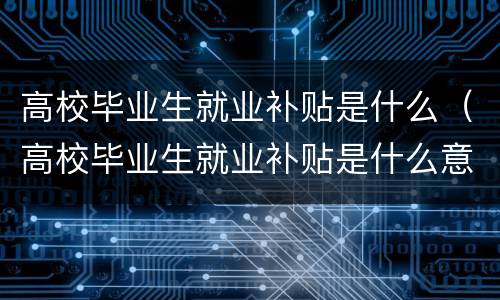 高校毕业生就业补贴是什么（高校毕业生就业补贴是什么意思）