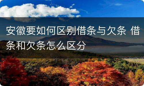 安徽要如何区别借条与欠条 借条和欠条怎么区分