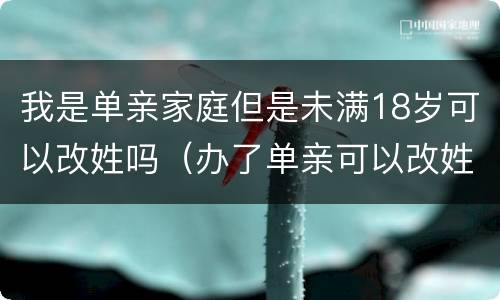 我是单亲家庭但是未满18岁可以改姓吗（办了单亲可以改姓吗）