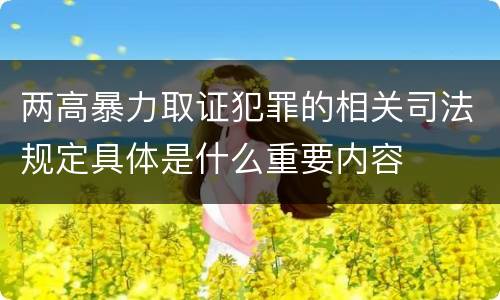 两高暴力取证犯罪的相关司法规定具体是什么重要内容