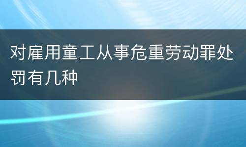 对雇用童工从事危重劳动罪处罚有几种