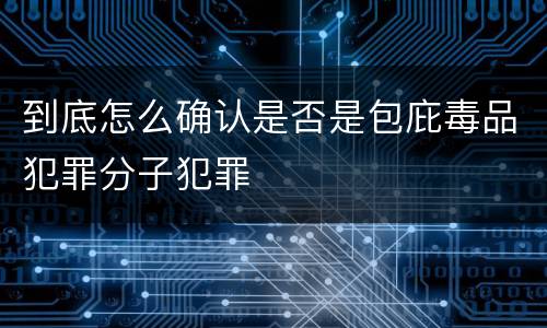 到底怎么确认是否是包庇毒品犯罪分子犯罪
