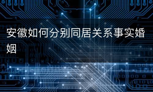安徽如何分别同居关系事实婚姻