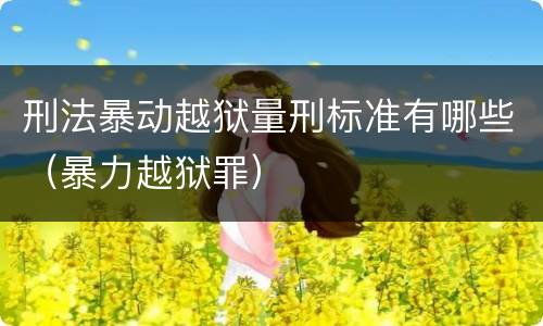 刑法暴动越狱量刑标准有哪些（暴力越狱罪）