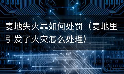 麦地失火罪如何处罚（麦地里引发了火灾怎么处理）